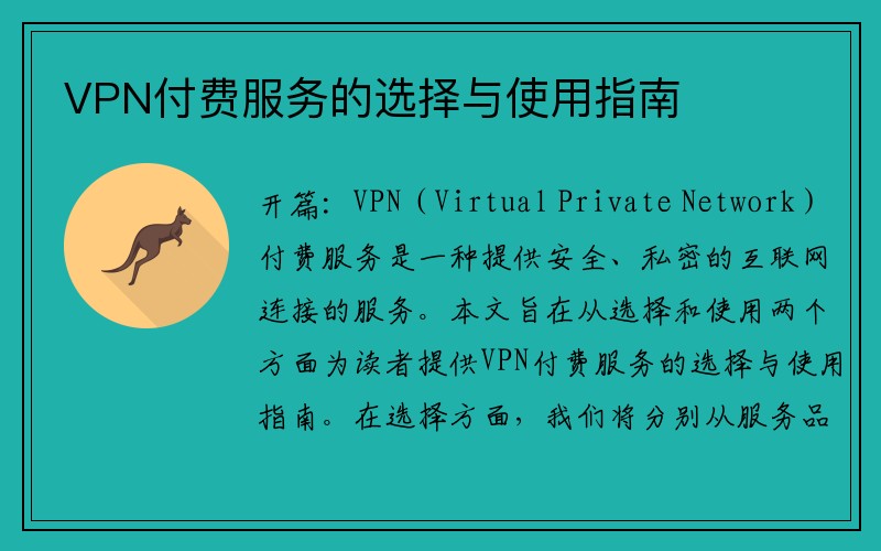 VPN付费服务的选择与使用指南